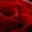 afterthefinalrose.blog