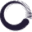 orpheusnyc.org