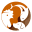 www.feedbusinessmea.com