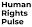 www.humanrightspulse.com