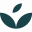 www.ivywise.com