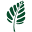 www.onegreenplanet.org