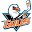 www.sandiegogulls.com