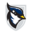 www.usjbluejays.com