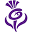 www.visitscotland.com
