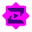 zedmultimedia.com